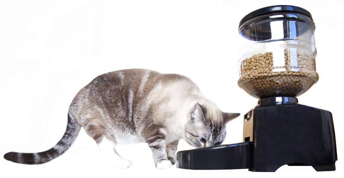 Special designs for the automatic feeder