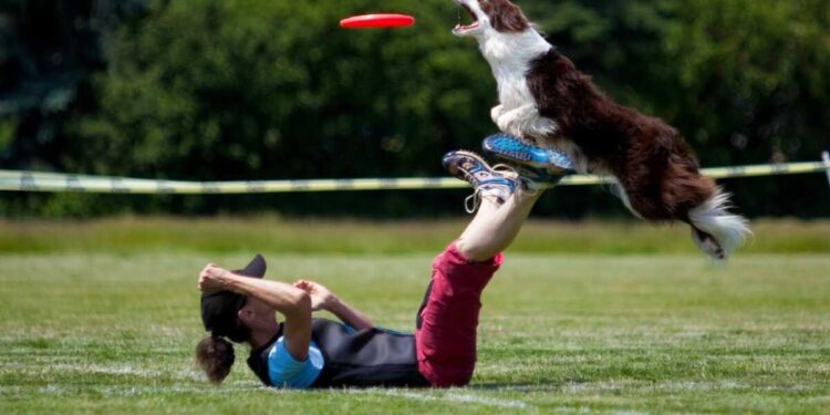Balancing Play with Training Goals