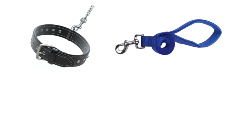 Introducing the Collar and Leash