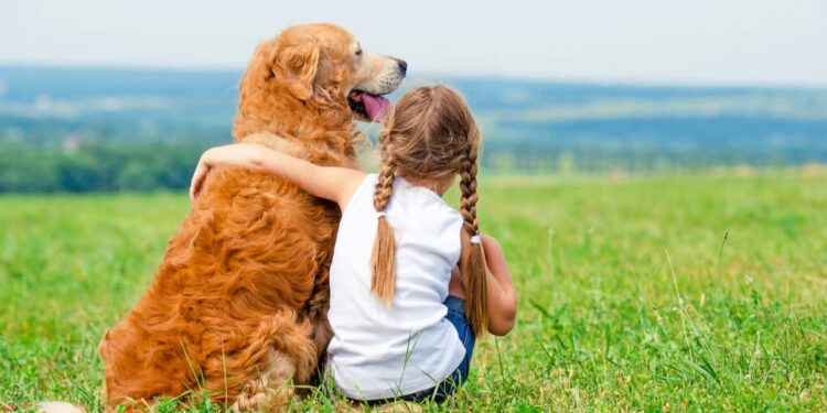 Understand Pets' Needs